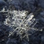 関東甲信における雪結晶の画像情報提供のお願いについて