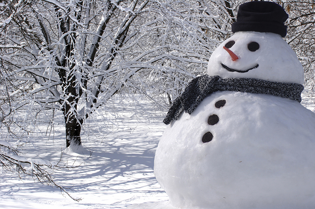 一気に溶けないように国民は雪だるまを作るように！