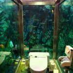 【動画】兵庫県明石市「ヒポポパパ」の水槽の中にあるトイレ