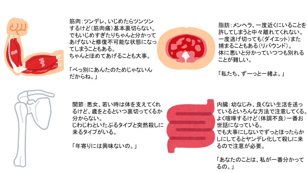 筋肉は裏切らない 間接は裏切る 脂肪は寄り添ってくれる 内臓を裏切るな