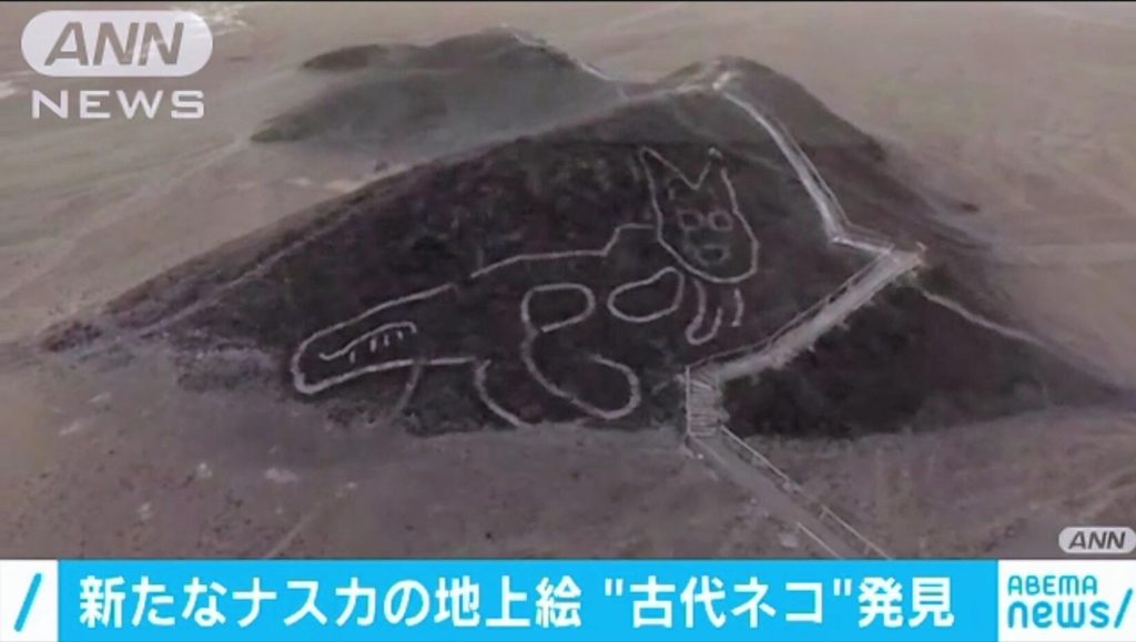 【幅37m】新たなナスカの地上絵“古代ネコ”発見 ペルー