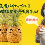 台湾産パイナップルを応援してくださる日本の皆さんへ